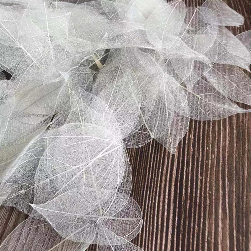 Dried Flower Pressed - 5~9CM*2~3.5CM,100PCS/Set,Real Dried Natural Vajra Leaf Vein,Pressed