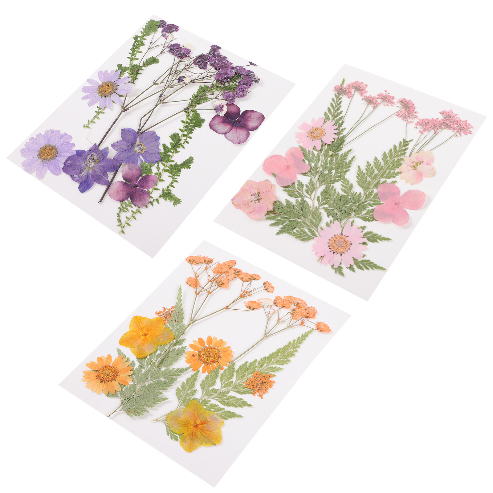 Dried Flower Pressed - Dried Flowers Decoration Material 3 Set