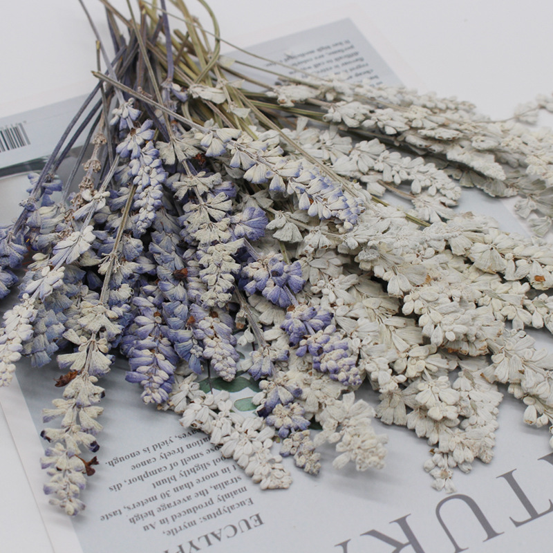 Dried Flower Pressed - 10~15CM/24PCS Real Natural Plant Pressed Dried