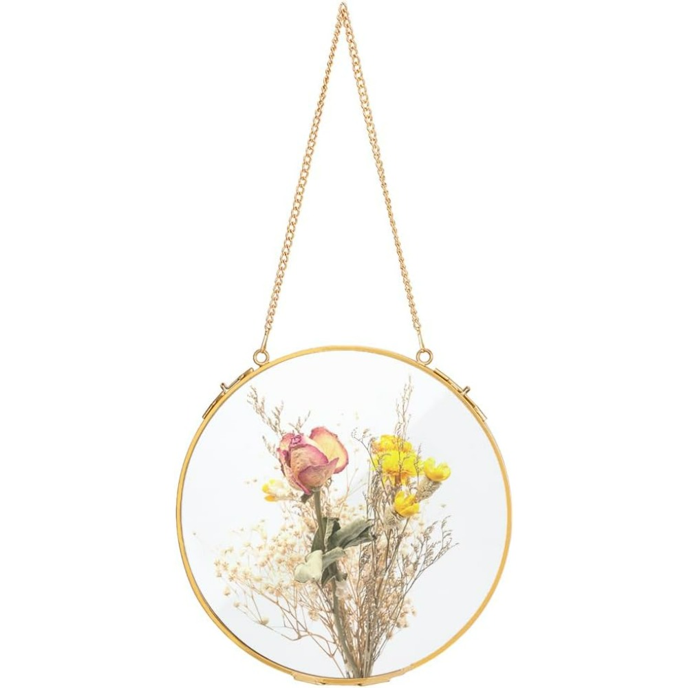 Dried Flower Pressed - 1Pcs 7.8 Inches Hanging Glass Floating