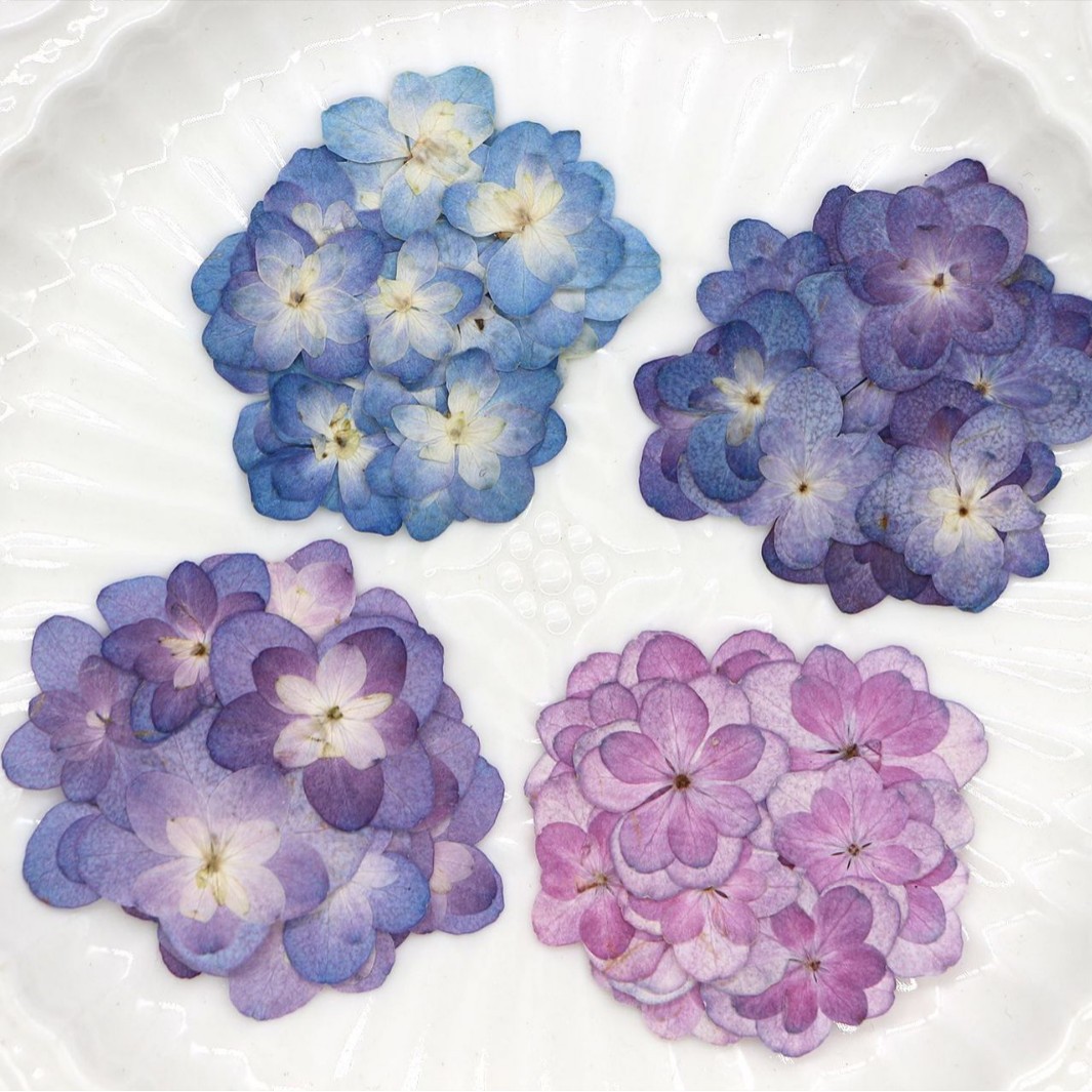 Dried Flower Pressed - 60Pcs Mini Double-Flowered Hydrangea Dried Flowers
