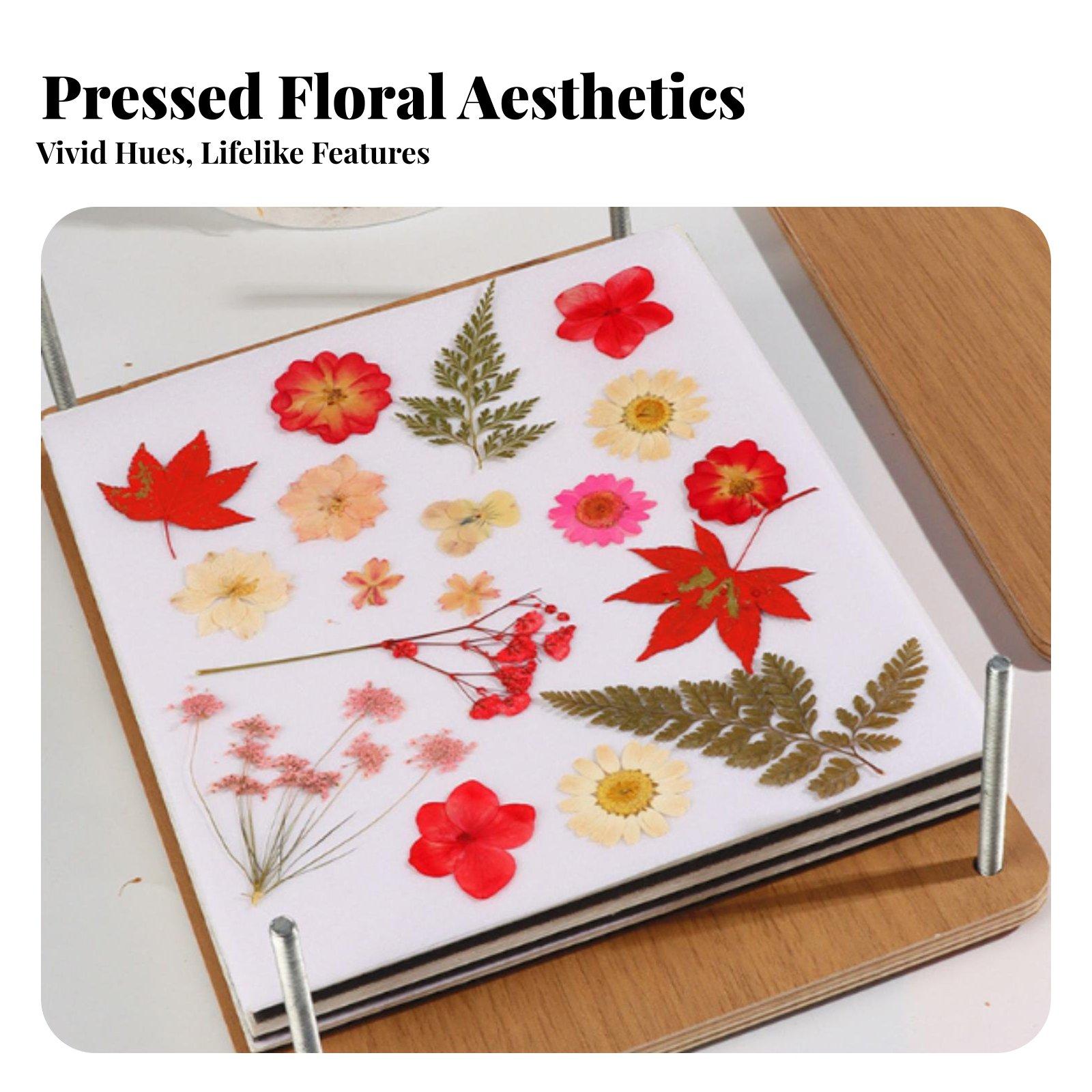 Multitier Botanical Flower Pre - Dried Flower Pressed ulasan dan harga