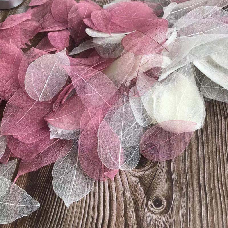 5~9CM*2~3.5CM,100PCS/Set,Real  - Dried Flower Pressed ulasan dan harga