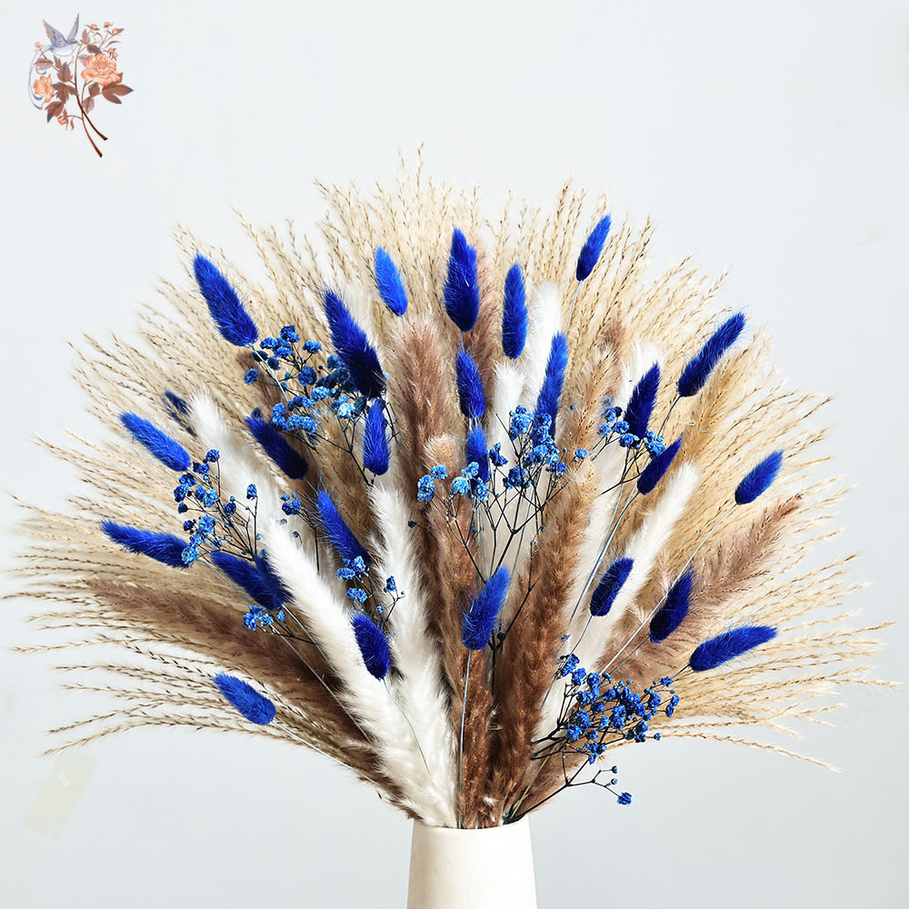 70 Stem Blue Fluffly Rabbit Ta - Dried Flower Pressed ulasan dan harga