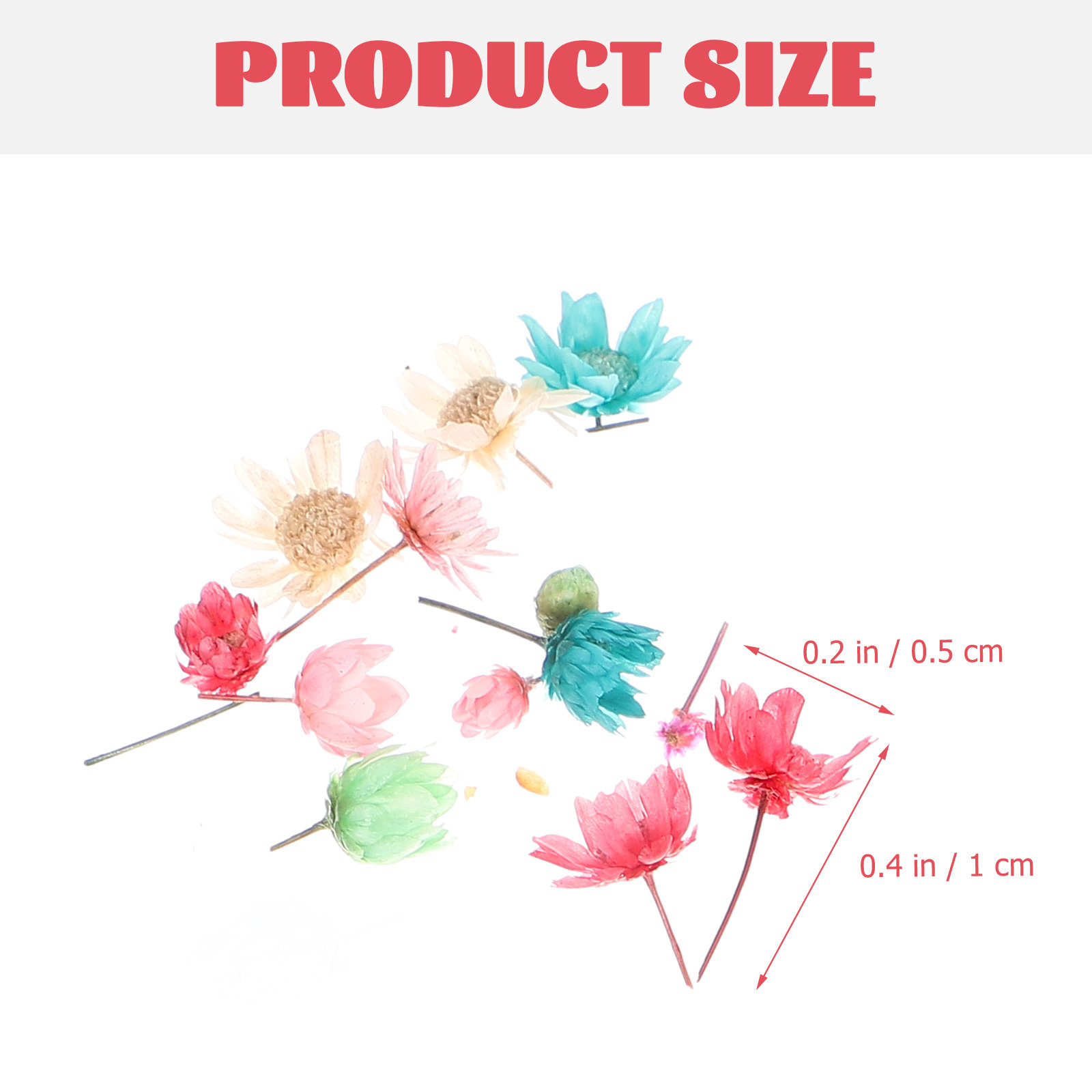 Premium Pink Dried Flowers for - Dried Flower Pressed ulasan dan harga