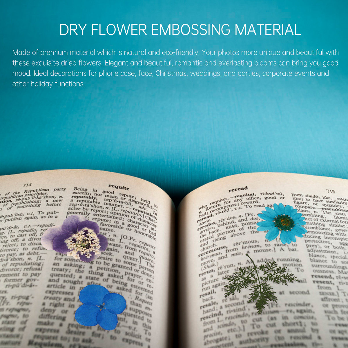 40pcs Pressed Flowers Material - Dried Flower Pressed ulasan dan harga