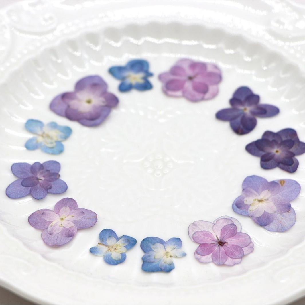 60Pcs Mini Double-Flowered Hyd - Dried Flower Pressed ulasan dan harga