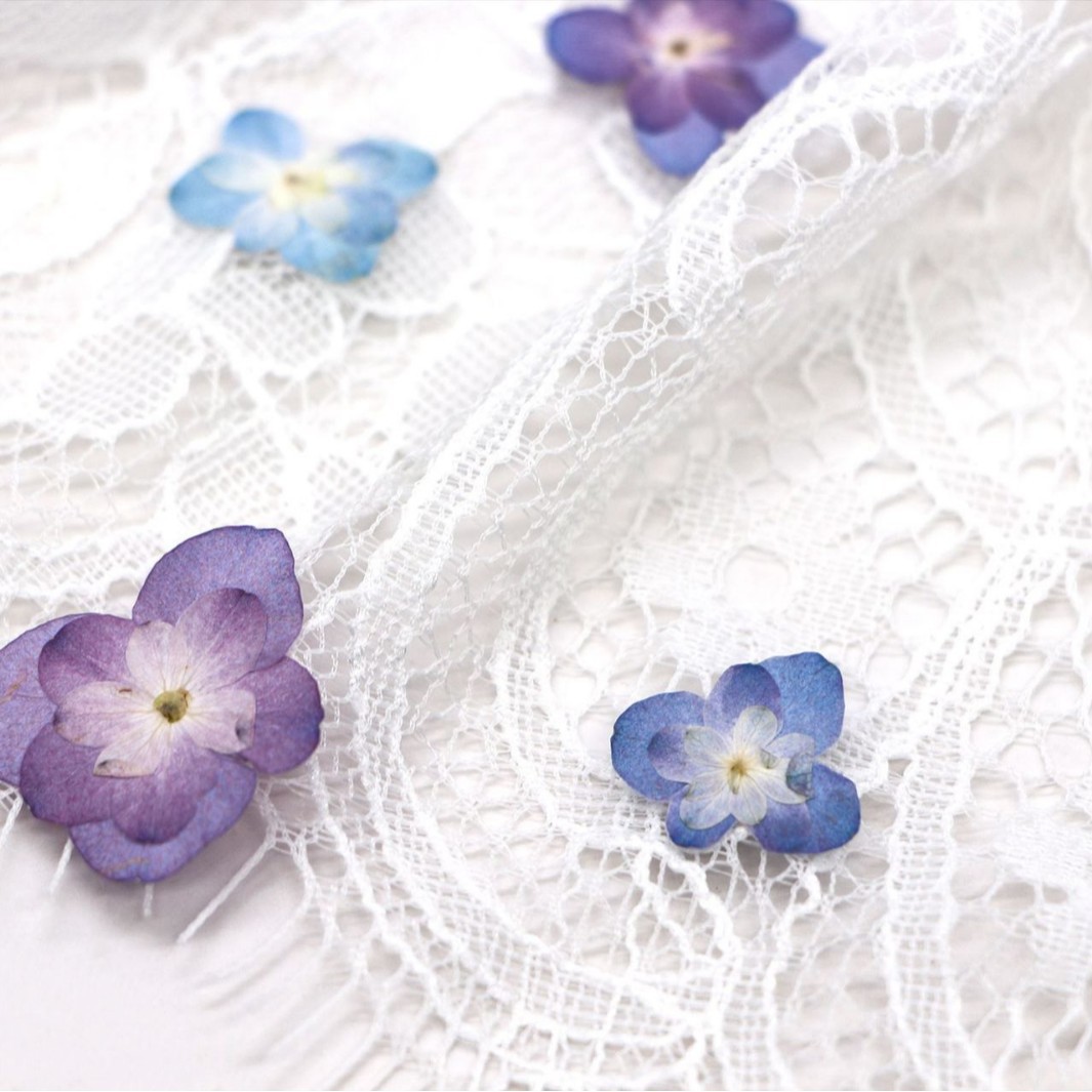 60Pcs Mini Double-Flowered Hyd - Dried Flower Pressed ulasan dan harga